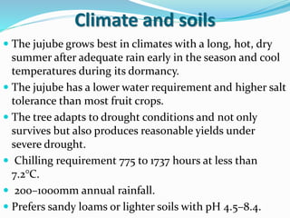Climate and soils
 The jujube grows best in climates with a long, hot, dry
summer after adequate rain early in the season and cool
temperatures during its dormancy.
 The jujube has a lower water requirement and higher salt
tolerance than most fruit crops.
 The tree adapts to drought conditions and not only
survives but also produces reasonable yields under
severe drought.
 Chilling requirement 775 to 1737 hours at less than
7.2°C.
 200–1000mm annual rainfall.
 Prefers sandy loams or lighter soils with pH 4.5–8.4.
 