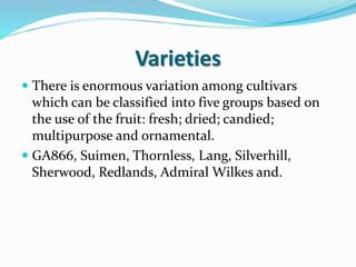 Varieties
 There is enormous variation among cultivars
which can be classified into five groups based on
the use of the fruit: fresh; dried; candied;
multipurpose and ornamental.
 GA866, Suimen, Thornless, Lang, Silverhill,
Sherwood, Redlands, Admiral Wilkes and.
 
