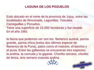 Está ubicado en el norte de la provincia de Jujuy, entre las localidades de Rinconada, Lagunillas, Yoscaba, Cieneguillas y Pozuelos. Tiene una superficie de 15.000 hectáreas y fue creado En el año 1981 la fauna que podemos ver son los   flamenco austral, parina grande, parina chica (estos dos últimos especie de flamenco de la Puna), patos como el maicero, el barcino y el puna, Entre las gallaretas se encuentran tres especies: la andina, la cornuda y la gigante. Chorlito serrano, chorlito de binca, tero serrano ovaceta andina. LAGUNA DE LOS POZUELOS 