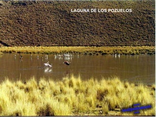 LAGUNA DE LOS POZUELOS 