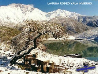 LAGUNA RODEO YALA INVIERNO 