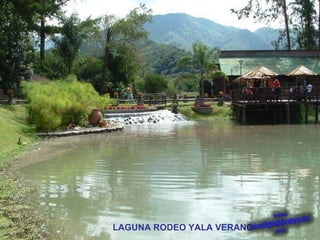 LAGUNA RODEO YALA VERANO 