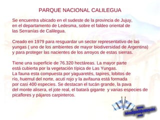 Se encuentra ubicado en el sudeste de la provincia de Jujuy,  en el departamento de Ledesma, sobre el faldeo oriental de  las Serranías de Calilegua. Creado en 1979 para resguardar un sector representativo de las yungas ( uno de los ambientes de mayor biodiversidad de Argentina)  y para proteger las nacientes de los arroyos de estas sierras. Tiene una superficie de 76.320 hectáreas. La mayor parte  está cubierta por la vegetación típica de Las Yungas. La fauna esta compuesta por yaguaretés, tapires, lobitos de  río, huemul del norte, acutí rojo y la avifauna está formada  por casi 400 especies. Se destacan el tucán grande, la pava  del monte alisera, el jote real, el batará gigante  y varias especies de picaflores y pájaros carpinteros. PARQUE NACIONAL CALILEGUA 