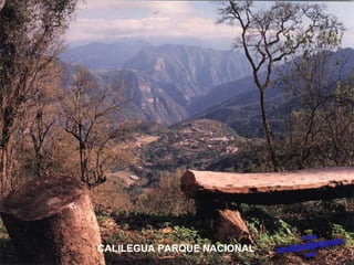 CALILEGUA PARQUE NACIONAL 