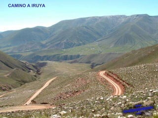 CAMINO A IRUYA 