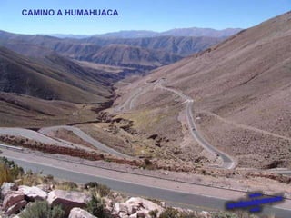 CAMINO A HUMAHUACA 