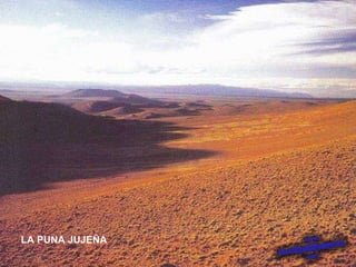 LA PUNA JUJEÑA 