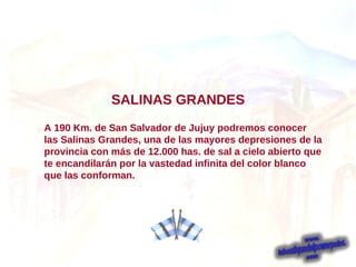 A   190 Km. de San Salvador de Jujuy podremos conocer las Salinas Grandes, una de las mayores depresiones de la provincia con más de 12.000 has. de sal a cielo abierto que te encandilarán por la vastedad infinita del color blanco que las conforman. SALINAS GRANDES 