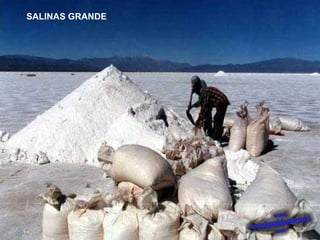 SALINAS GRANDE 