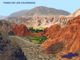 PASEO DE LOS COLORADOS 
