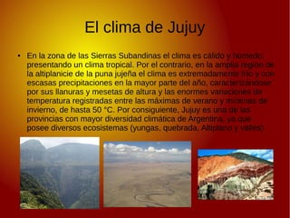 El clima de Jujuy
● En la zona de las Sierras Subandinas el clima es cálido y húmedo;
presentando un clima tropical. Por el contrario, en la amplia región de
la altiplanicie de la puna jujeña el clima es extremadamente frío y con
escasas precipitaciones en la mayor parte del año, caracterizándose
por sus llanuras y mesetas de altura y las enormes variaciones de
temperatura registradas entre las máximas de verano y mínimas de
invierno, de hasta 50 °C. Por consiguiente, Jujuy es una de las
provincias con mayor diversidad climática de Argentina, ya que
posee diversos ecosistemas (yungas, quebrada, Altiplano y valles)
 