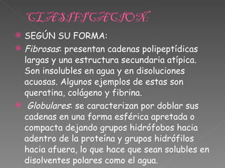 SEGÚN SU FORMA: Fibrosas : presentan cadenas polipeptídicas largas y una estructura secundaria atípica. Son insolubles en agua y en disoluciones acuosas. Algunos ejemplos de estas son queratina, colágeno y fibrina. Globulares : se caracterizan por doblar sus cadenas en una forma esférica apretada o compacta dejando grupos hidrófobos hacia adentro de la proteína y grupos hidrófilos hacia afuera, lo que hace que sean solubles en disolventes polares como el agua. Mixtas : posee una parte fibrilar (comúnmente en el centro de la proteína) y otra parte globular  