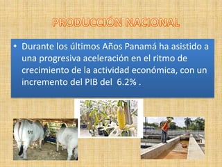 • Durante los últimos Años Panamá ha asistido a
una progresiva aceleración en el ritmo de
crecimiento de la actividad económica, con un
incremento del PIB del 6.2% .
 