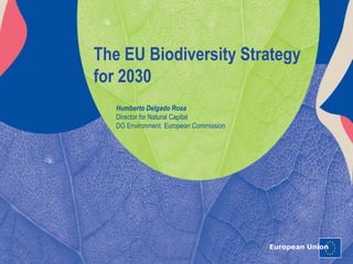 European Union
The EU Biodiversity Strategy
for 2030
Humberto Delgado Rosa
Director for Natural Capital
DG Environment, European Commission
 
