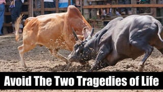 Avoid The Two Tragedies of Life
 