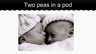 Two peas in a pod
 