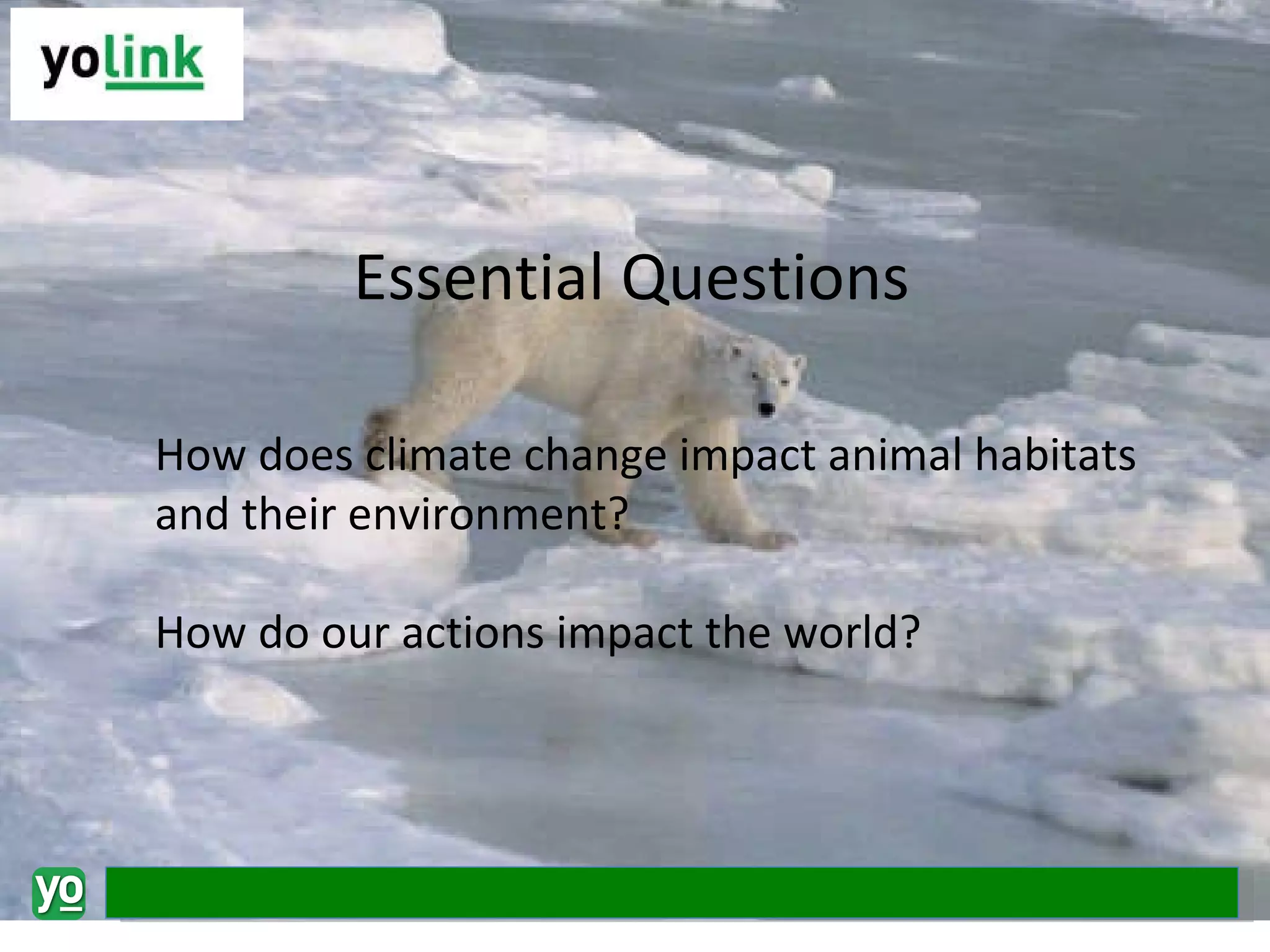 How does climate change impact animal habitats and their environment? How do our actions impact the world? Essential Questions 