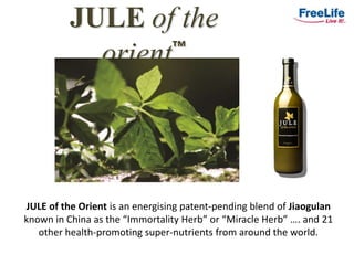 JULEof the orient™ JULE of the Orient is an energising patent-pending blend of Jiaogulan known in China as the “Immortality Herb” or “Miracle Herb” …. and 21 other health-promoting super-nutrients from around the world.  