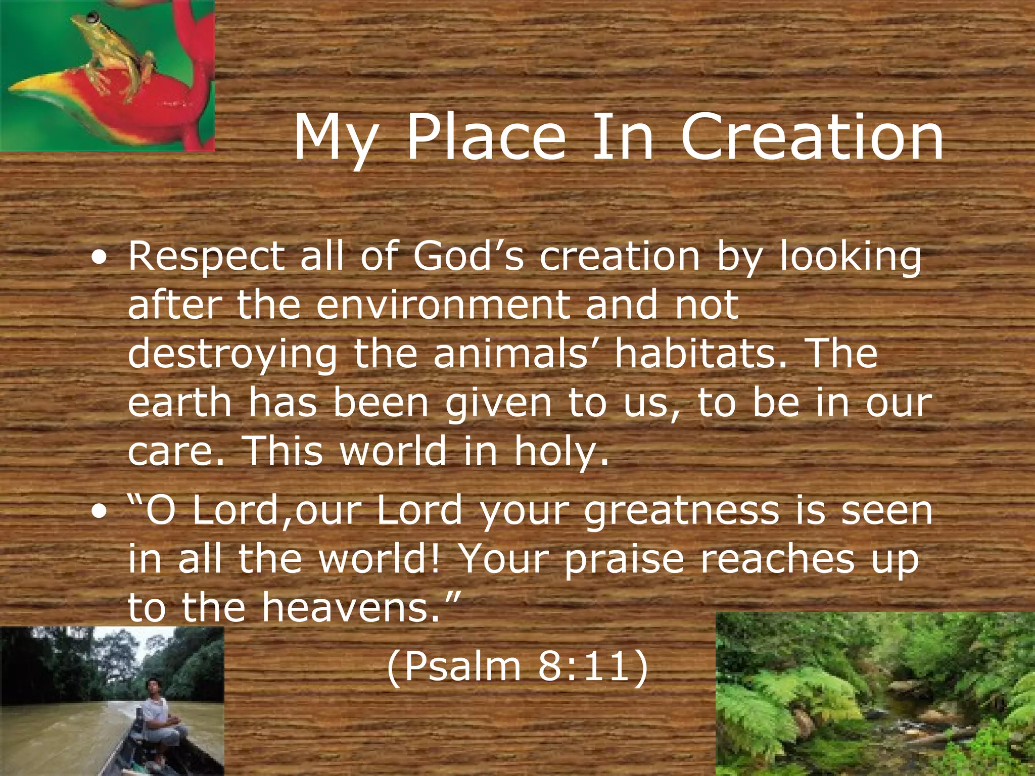 My Place In Creation Respect all of God’s creation by looking after the environment and not destroying the animals’ habitats. The earth has been given to us, to be in our care. This world in holy. “ O Lord,our Lord your greatness is seen in all the world! Your praise reaches up to the heavens.” (Psalm 8:11) 
