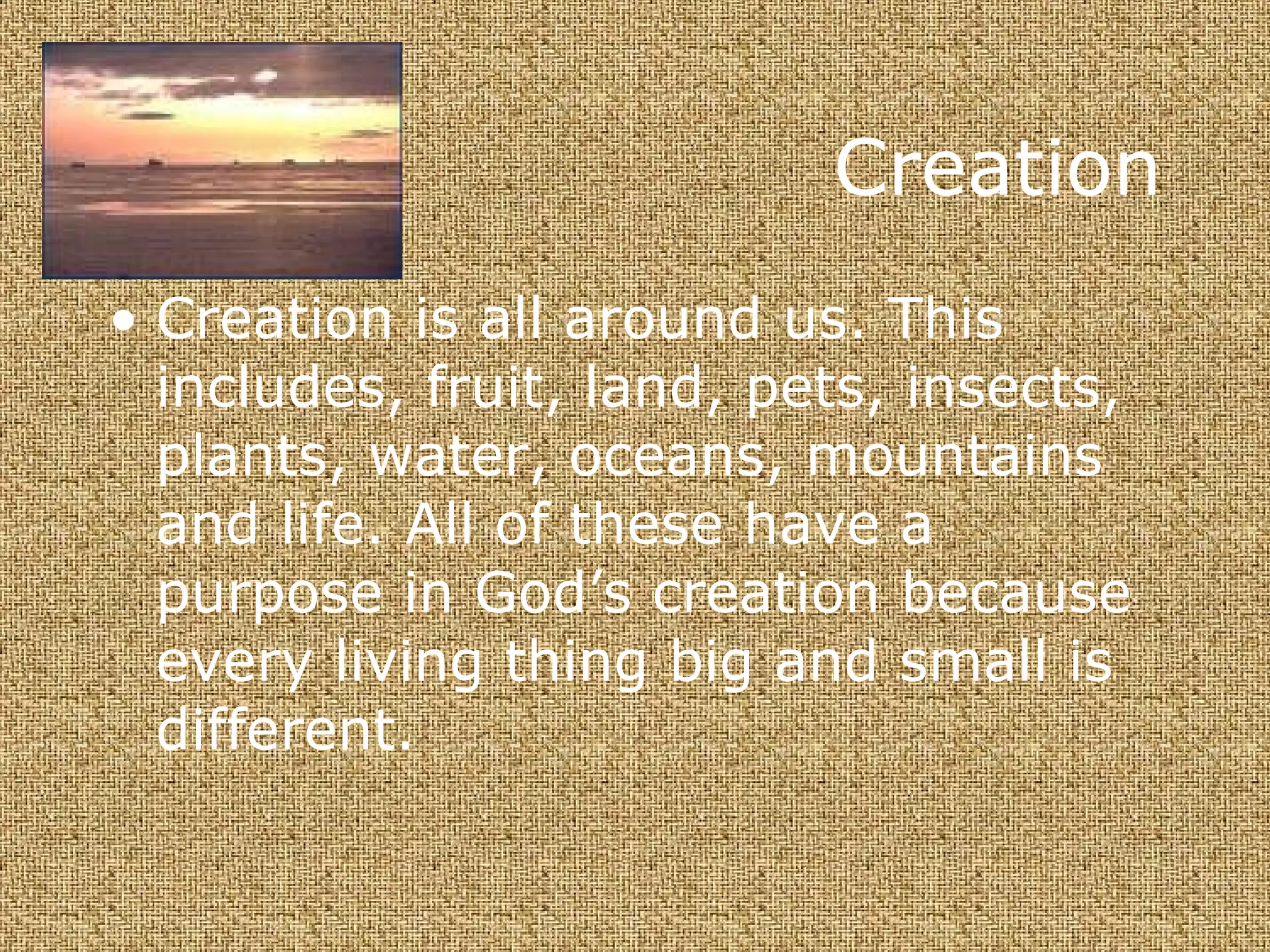 Creation Creation is all around us. This includes, fruit, land, pets, insects, plants, water, oceans, mountains and life. All of these have a purpose in God’s creation because every living thing big and small is different.  