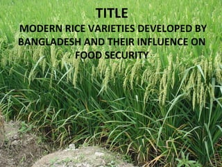 TITLE
MODERN RICE VARIETIES DEVELOPED BY
BANGLADESH AND THEIR INFLUENCE ON
FOOD SECURITY
 