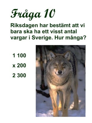 Fråga 10 Riksdagen har bestämt att vi bara ska ha ett visst antal vargar i Sverige. Hur många? 1 100 x 200 2 300 