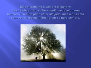 Julgamento   desgraça ou benção