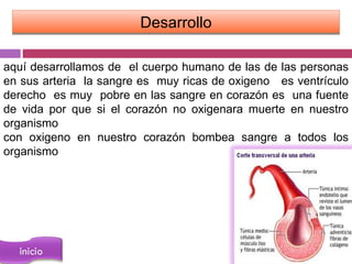 Desarrollo

aquí desarrollamos de el cuerpo humano de las de las personas
en sus arteria la sangre es muy ricas de oxigeno es ventrículo
derecho es muy pobre en las sangre en corazón es una fuente
de vida por que si el corazón no oxigenara muerte en nuestro
organismo
con oxigeno en nuestro corazón bombea sangre a todos los
organismo
 