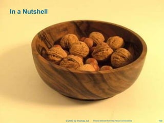 In a Nutshell




                © 2010 by Thomas Juli   Picture retrieved from http://tinyurl.com/23aldws   100
 