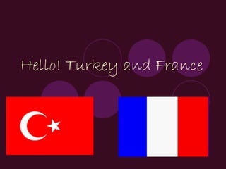 Hello! Turkey and France   