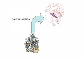 Julia Newton Presentation