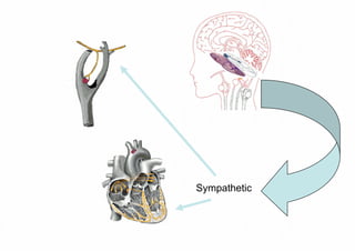 Julia Newton Presentation
