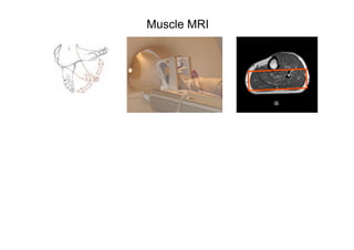 Julia Newton Presentation