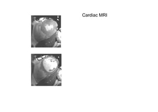 Julia Newton Presentation