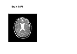 Julia Newton Presentation