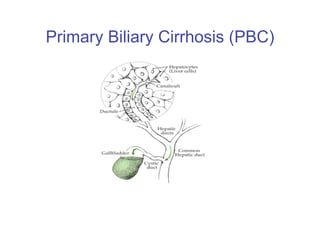 Julia Newton Presentation