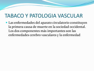 TABACO Y PATOLOGIA VASCULAR
 Las enfermedades del aparato circulatorio constituyen
 la primera causa de muerte en la sociedad occidental.
 Los dos componentes más importantes son las
 enfermedades cerebro vasculares y la enfermedad
 