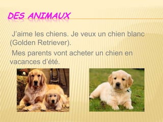 DES ANIMAUX
J’aime les chiens. Je veux un chien blanc
(Golden Retriever).
Mes parents vont acheter un chien en
vacances d’été.
 