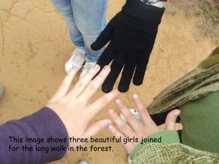 This image shows three beautiful girls joined for the long walk in the forest. 
