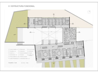 Julia de albuquerque