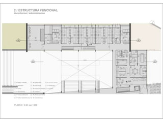 Julia de albuquerque