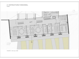 Julia de albuquerque