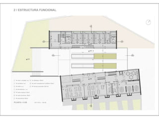 Julia de albuquerque