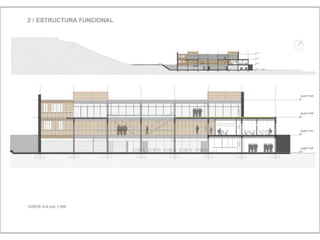 Julia de albuquerque