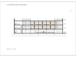 Julia de albuquerque