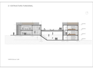 Julia de albuquerque