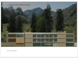 Julia de albuquerque