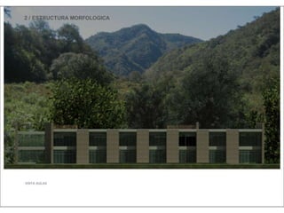 Julia de albuquerque