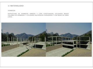 Julia de albuquerque