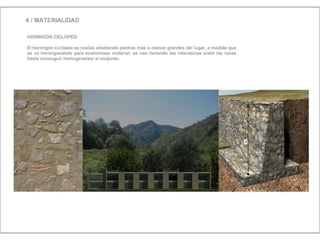 Julia de albuquerque